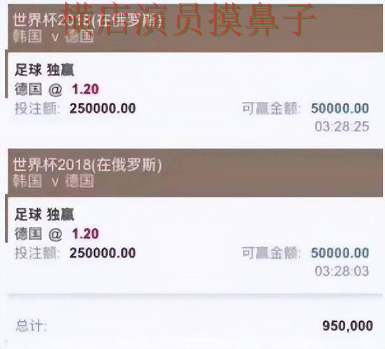 新手必看：世界杯投注平台合集访问方式详解 + 世界杯赛事中心