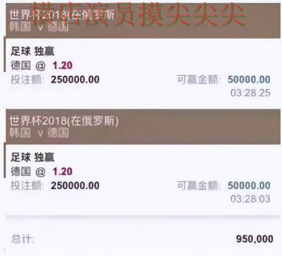 世界杯直播来临，世界杯投注网站大全玩法指南+直播与平台选择全面分析